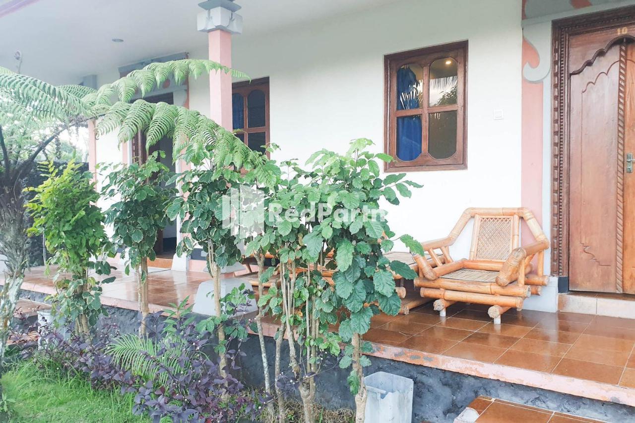 Arlina'S Guest House Kintamani Redpartner Luaran gambar